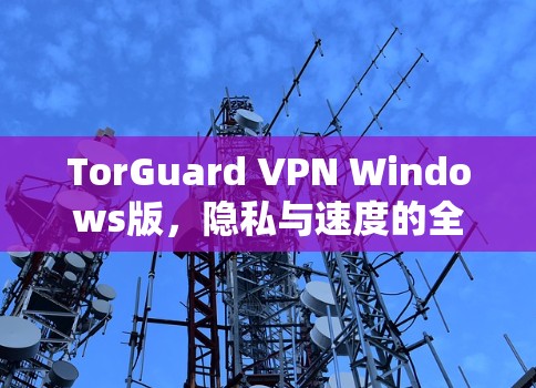 TorGuard VPN Windows版，隐私与速度的全面解析