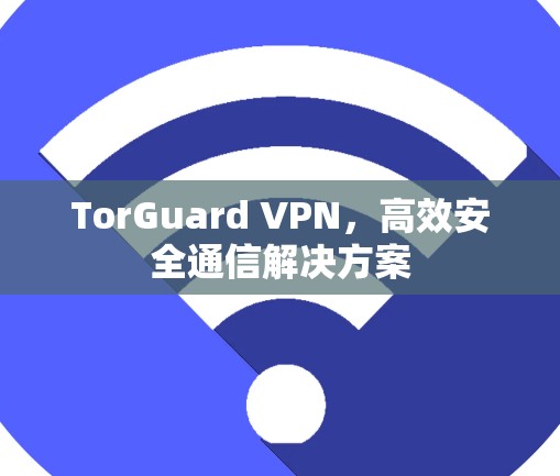 TorGuard VPN，高效安全通信解决方案