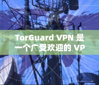 TorGuard VPN 是一个广受欢迎的 VPN 服务提供商，它提供多种版本以满足不同用户的需求。以下是 TorGuard VPN 的主要版本及其功能