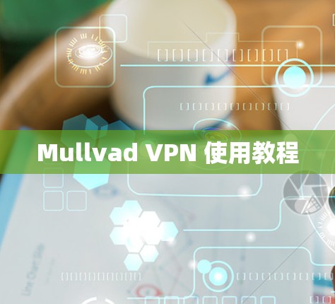 Mullvad VPN 使用教程
