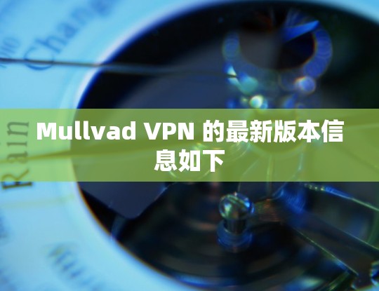 Mullvad VPN 的最新版本信息如下