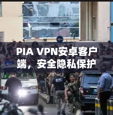 PIA VPN安卓客户端，安全隐私保护的最佳选择