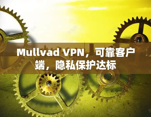 Mullvad VPN，可靠客户端，隐私保护达标