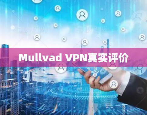 Mullvad VPN真实评价