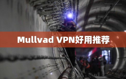 Mullvad VPN好用推荐