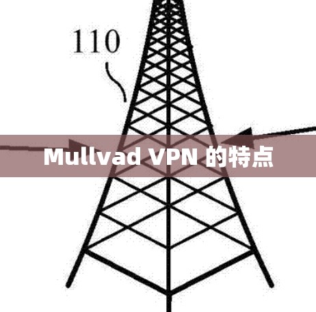 Mullvad VPN 的特点