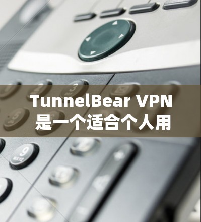 TunnelBear VPN 是一个适合个人用户的VPN服务，以下是对其的详细分析和总结