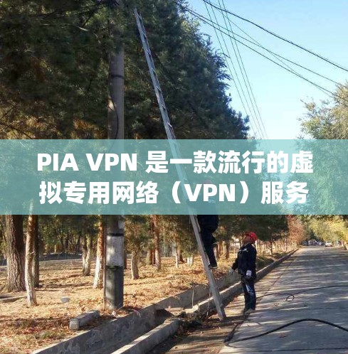PIA VPN 是一款流行的虚拟专用网络（VPN）服务提供商，他们的服务支持多平台，包括苹果的iOS系统。以下是使用 PIA VPN 在苹果iOS客户端的基本步骤
