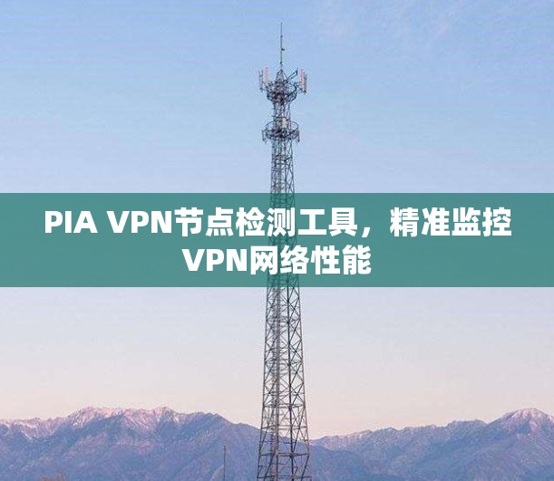 PIA VPN节点检测工具，精准监控VPN网络性能