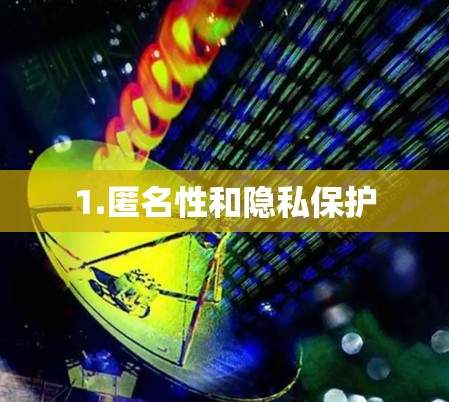 1.匿名性和隐私保护