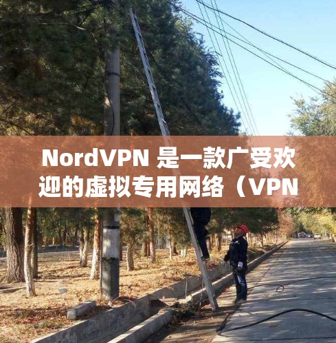 NordVPN 是一款广受欢迎的虚拟专用网络（VPN）服务提供商，其客户端在多个平台上都有很好的表现。以下是 NordVPN 的几个热门客户端的推荐和推荐理由