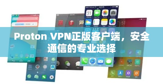 Proton VPN正版客户端，安全通信的专业选择