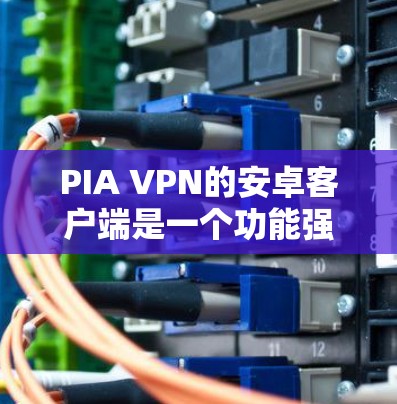 PIA VPN的安卓客户端是一个功能强大的工具，能够帮助用户保护隐私并访问受限制的内容。以下是使用PIA VPN安卓客户端的详细指南
